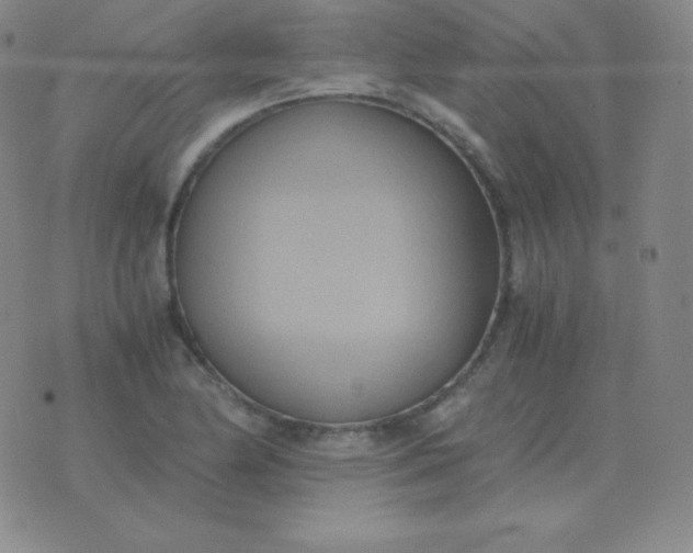 X0000076231174200610122107