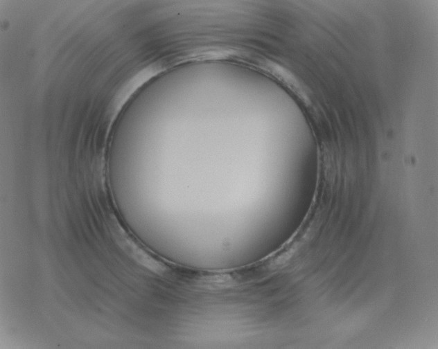 X0000076231186200610122107