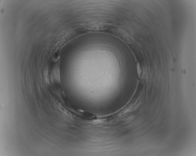 X0000076231202200610122106