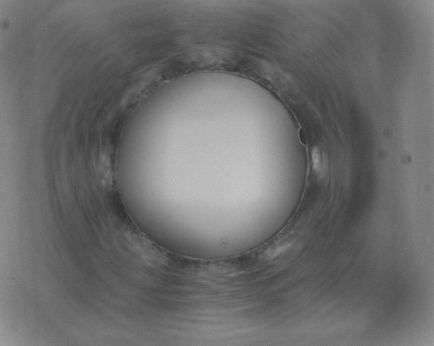X0000076231203200610122106