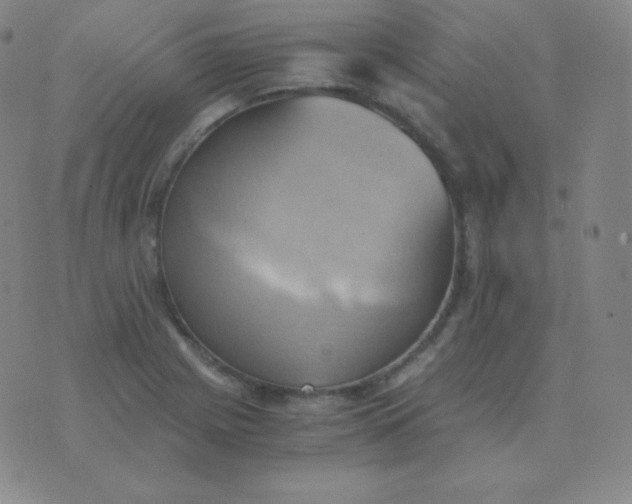 X0000076231225200610122106