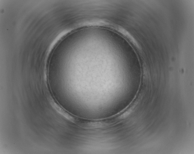 X0000076231232200610122107
