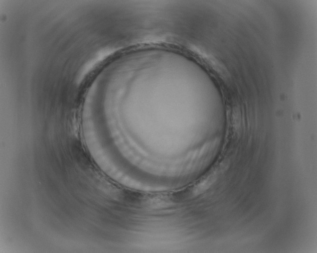 X0000076231262200610122106