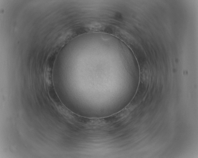 X0000076231346200610122104