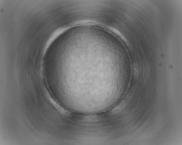 X0000076231421200610122103