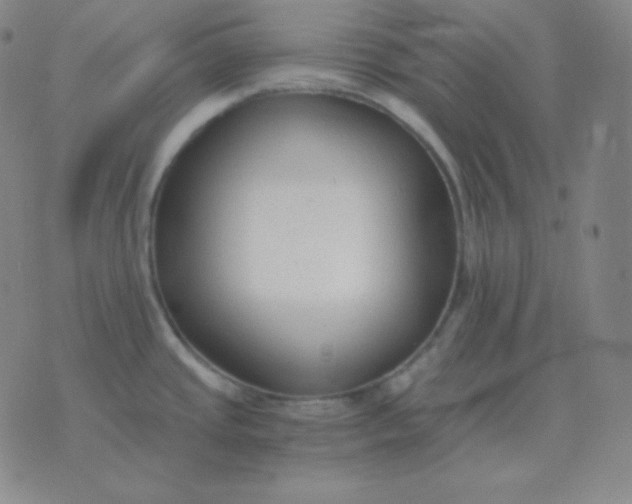 X0000076231437200610122104