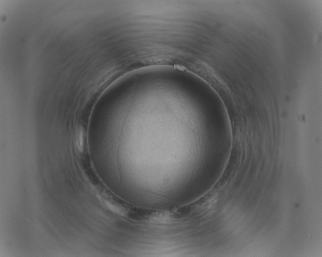 X0000076230076200610191609