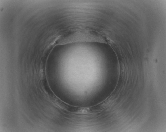 X0000076230080200610191609