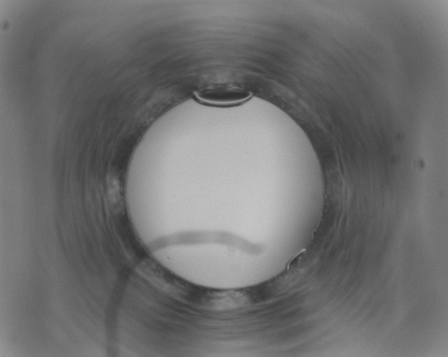X0000076230087200610191609