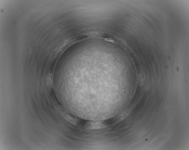 X0000076230093200610191609