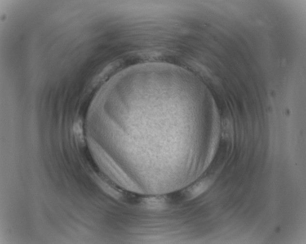 X0000076230238200610191606