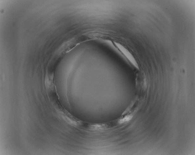 X0000076230239200610191606