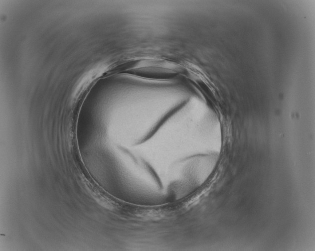 X0000076230293200610191605