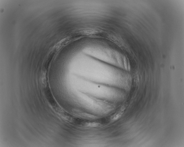 X0000076230360200610191604