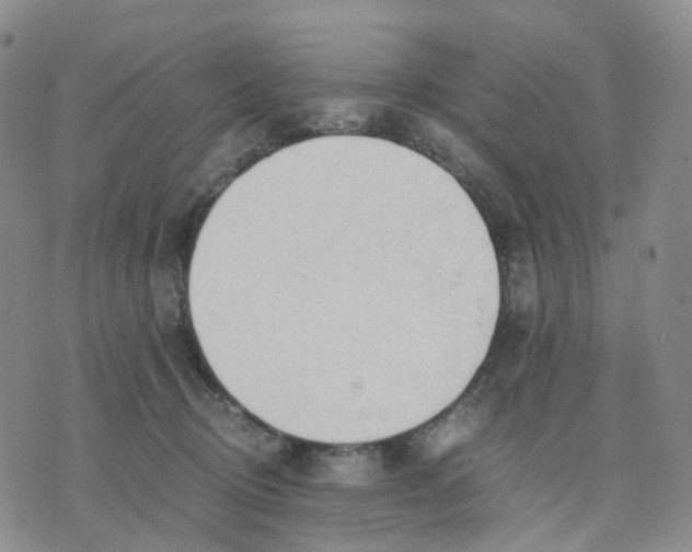 X0000076230370200610191604