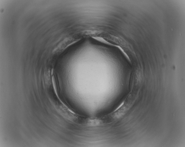 X0000076230376200610191604