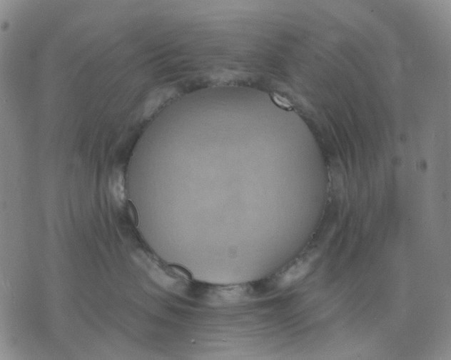 X0000076230479200610191603