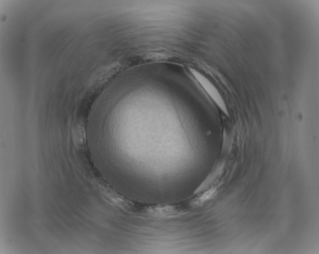 X0000076230517200610191601