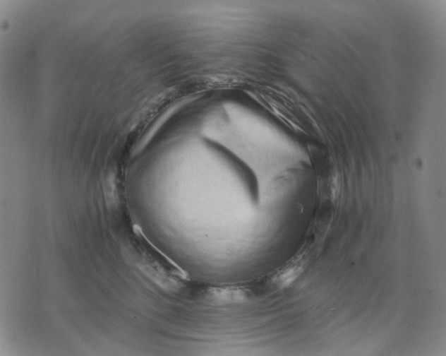 X0000076230520200610191601