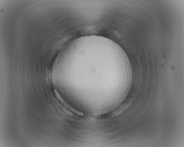X0000076230624200610191559
