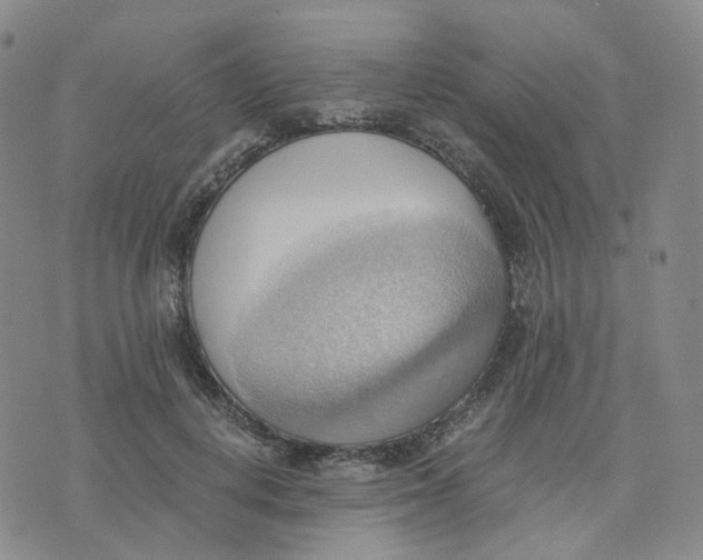 X0000076230648200610191559