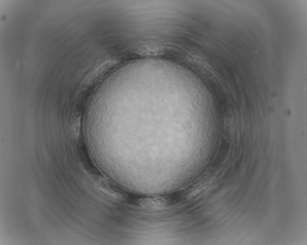 X0000076230652200610191559