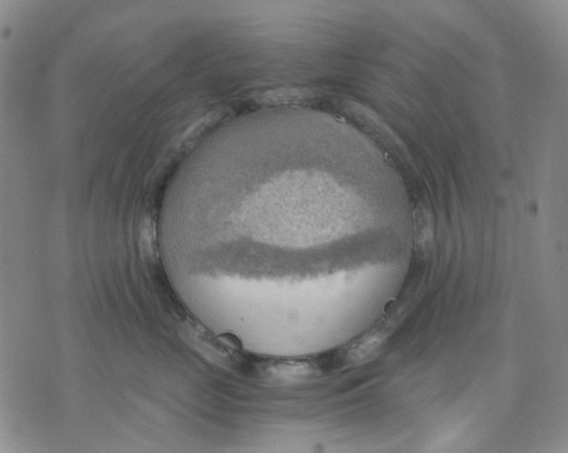 X0000076230669200610191559