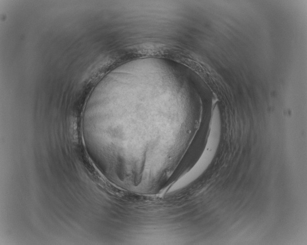 X0000076230696200610191558