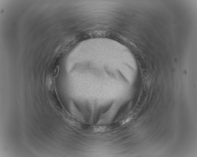 X0000076230709200610191558