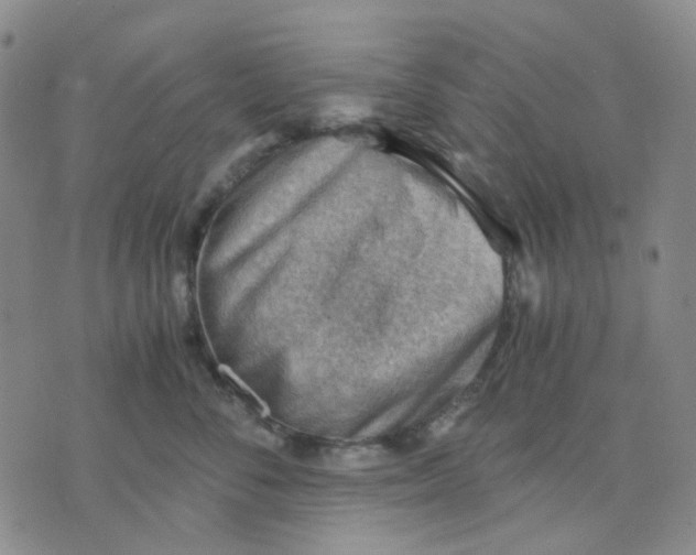 X0000076230716200610191558