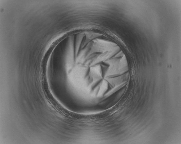 X0000076230724200610191557