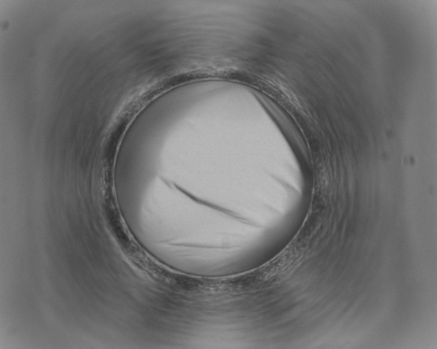X0000076230736200610191557