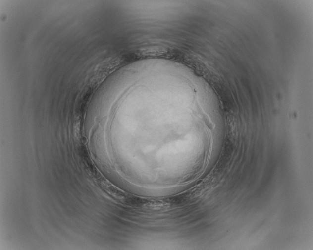 X0000076230745200610191557