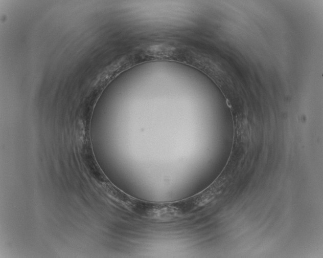 X0000076230752200610191558