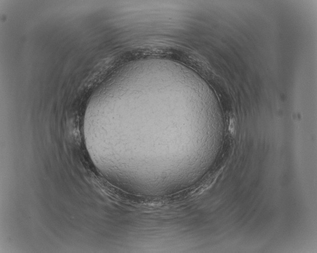 X0000076230771200610191557