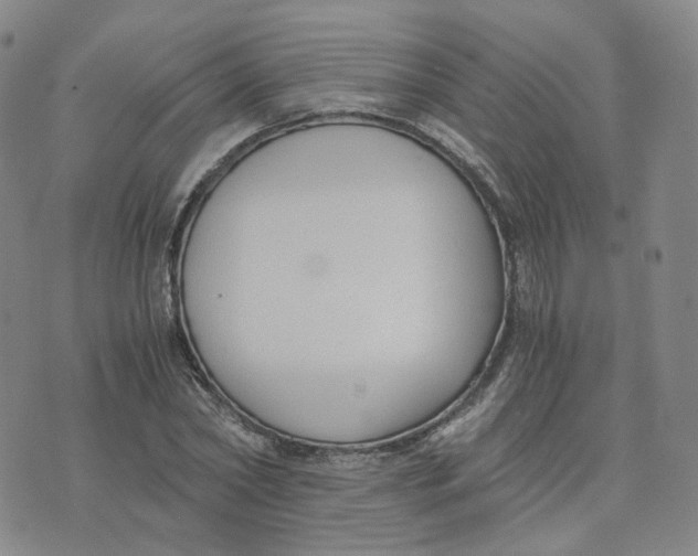 X0000076230782200610191557