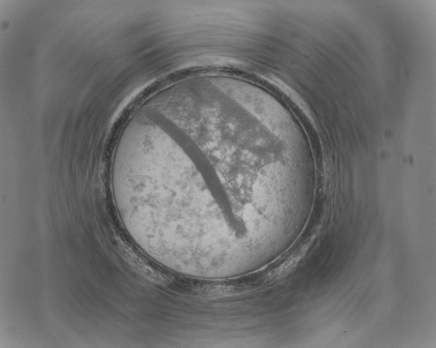 X0000076230783200610191557
