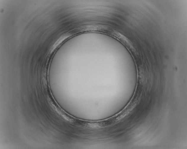 X0000076230794200610191557