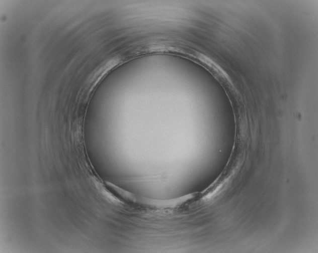 X0000076230801200610191557
