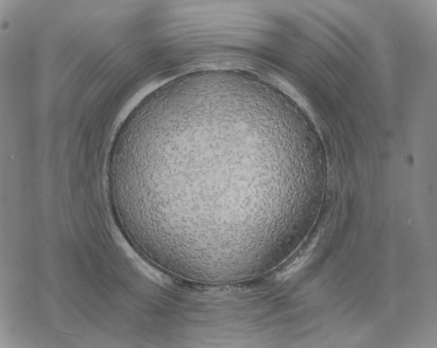 X0000076230803200610191557