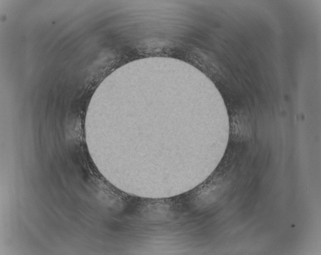 X0000076230820200610191556