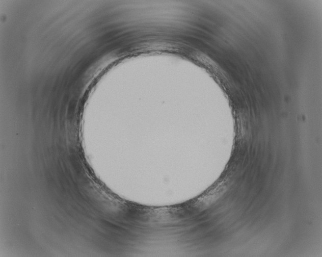 X0000076230828200610191556