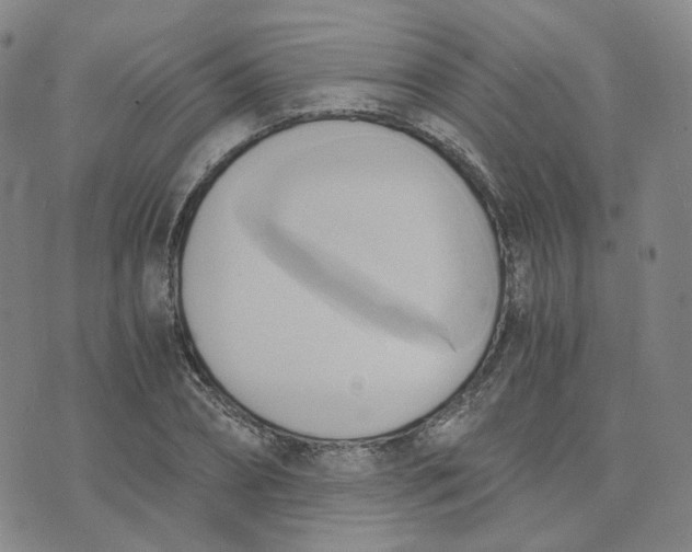 X0000076230882200610191555