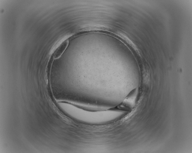 X0000076230885200610191555