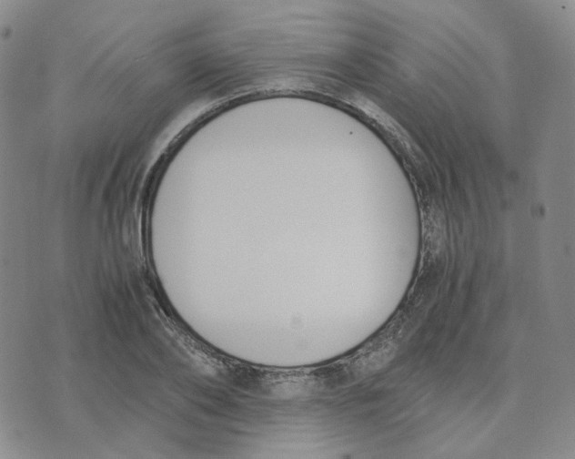X0000076230886200610191555