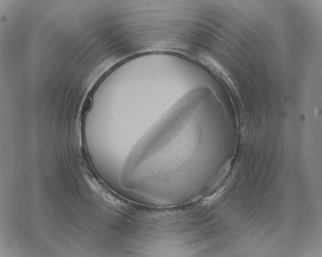 X0000076230892200610191555