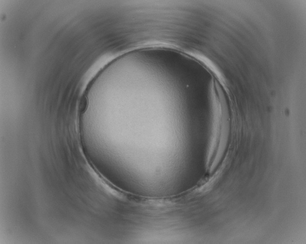 X0000076230910200610191555
