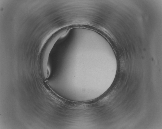 X0000076230926200610191554
