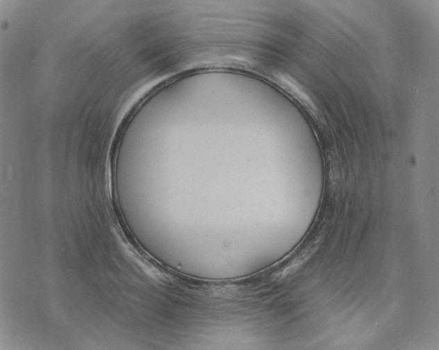 X0000076230940200610191554