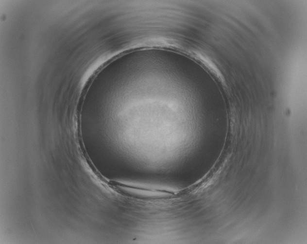 X0000076230944200610191554